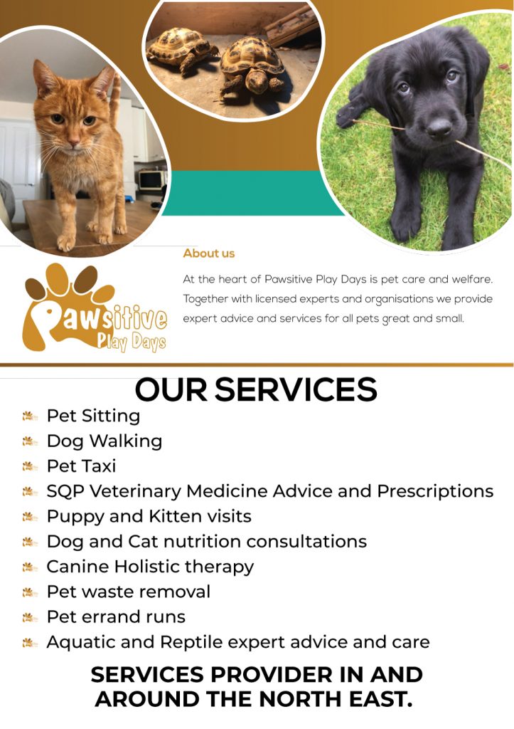 Pet-Care-723x1024-1